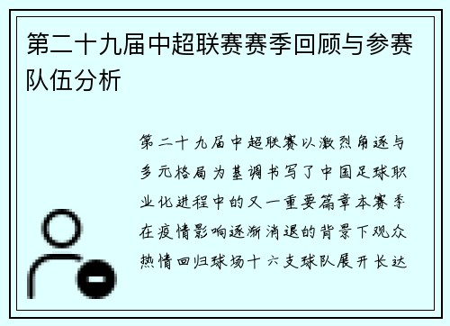 第二十九届中超联赛赛季回顾与参赛队伍分析